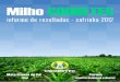 Safrinha é CoodetecCooperativa Central de Pesquisa Agrícola – Coodetec, em mais uma safra, ajuda o produtor a colher bons resultados. O CD 384Hx mostra, mais uma ... MS Delair