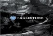 Apresentação Institucional - Eaglestone · 3 A EAGLESTONE é uma plataforma de serviços financeiros focada na África Subsariana onde é actualmente considerada um player de referência