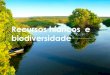 Recursos hídricos e biodiversidade...Sobre escassez de água: Os recursos hídricos e a biodiversidade no rio Tejo: Actualmente, o rio Tejo é uma das maiores potencialidades de desenvolvimento