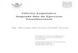 Informe Legislativo Segundo Año de Ejercicio …gaceta.diputados.gob.mx/PDF/InfoDip/63/267-20171004-II.pdf2017/10/04  · 1 Informe Legislativo Segundo Año de Ejercicio Constitucional