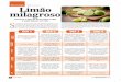 Em forma TEXTO Daniela Andrioli Limão milagrosoclubedadieta.com.br/site/wp-content/uploads/2017/07/NUTRI.pdf · take feito com cebola, alho, azeite e pitada de sal 1 prato fundo