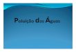 Águas do Porto - SNIRH · Águas do Porto A eutrofização das águas é um problema ambiental actual a que as águas superficiais da cidade do Porto também não conseguem escapar,
