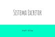 Sistema Excretor - Colegio Geraأ§أ£o Sistema Excretor Profآھ Elisa. Caracterأ­sticas Principal mecanismo