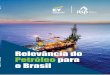 © Imagem cedida pela EY - IBP€¦ · Ieee Spectrum, Rio Oil & Gas Expo and Conference, 2016, Rystad Energy, SECEX (Secretaria de Comércio Exterior), SEEG ... e redes de transporte