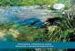 Pegada Hídrica das Bacias Hidrográficas · pegada hídrica; e (iv) formulação de estratégias de resposta à pegada hídrica (Hoekstra et al., 20111). Essencialmente, a avaliação
