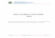 RELATÓRIO CONTÁBIL 2019€¦ · Departamento de Contabilidade e Finanças - DCF Divisão de Contabilidade - DICONT UFRGS Relatório Contábil 2019 RELATÓRIO CONTÁBIL 2019 Em 