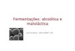 Fermentações: alcoólica e maloláctica · 4. Activadores de fermentação: Nesta categoria incluem-se os factores de crescimento, como a tiamina (Vit. B1), que promove fermentações