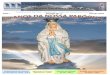 Paróquia N S Lourdes - Paróquia Nossa Senhora de Lourdes · Nesta edição queremos marcar as comemorações do cinqüen- tenário de nossa Paróquia. Celebrar 50 anos de existência