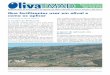 Que fertilizantes usar em olival e como os aplicar · 2019-12-10 · da elevada imprevisibilidade do clima mediterrâni - co, como orientação deve pensar-se a aplicação dos fertilizantes