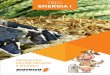 TBIO ENERGIA I - biotrigo.com.br · A cultivar TBIO Energia I é direcionada para suprir a demanda de produção de pré-secado e silagem com qualidade nutricional, permitindo que