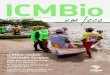 Edição 538 - Ano 12 – 25 de outubro de 2019...Edição 538 - Ano 12 – 25 de outubro de 2019 ICMBio ICMBio realiza Operação Sergipe Resex Baía do Tubarão recebe Festival do