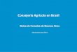 Consejeria Agrícola en Brasil - Argentina.gob.ar · La campaña 2011/12 marca el momento en que el maiz de segunda (safrinha), assume el protagonismo como la principal cosecha de