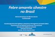 Febre amarela silvestre no Brasilportalarquivos.saude.gov.br/images/pdf/2017/marco... · Região Sul Santa Catarina 7 8 6 0 2 Paraná 8 11 9 0 2 Rio Grande do Sul 9 11 4 0 7 UF do