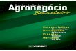 Agronegócio - Microsoft · 6 agronegócio Brasileiro O Brasil é um país de características continentais. Seu território, de 8,5 milhões de km 2 é dividido em 5 grandes regiões,
