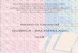 Relatório Gerencial QUÍMICA - BACHARELADO 2018 · 9 2.1. Breve histórico e base legal de registro A Universidade Federal do Rio Grande - FURG é pessoa jurídica de direito público,