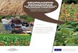 ABORDAGENS INOVADORAS - Diversifood · Abordagens complementares relacionadas com a diversidade de culturas para sistemas alimentares sustentáveis e resilientes foram desenvolvidas: