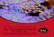 Sأ©rie Cadernos Tأ©cnicos - Volume III ECORREGIأ•ES Panorama da Conservaأ§أ£o de Ecossistemas Costeiros