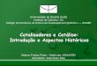 Catalisadores e Catálise: Introdução e Aspectos Históricoslabcat.unb.br/images/PDF/Aulas/Aula_1_-_Catalisadores_e... · 2020-03-10 · 1.1. Contextualização As transformação