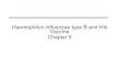 Haemophilus influenzae type B and Hib Vaccine Chapter 9courses.washington.edu/medch401/pdf_text/401_08... · Haemophilus influenzae type b Vaccine Delayed Vaccination Schedule •Unvaccinated