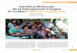 Genética Molecular de la Patogénesis Fúngica El modelo ...crinoidea.semicrobiologia.org/pdf/actualidad/57/26_diPietro.pdf · López-Berges MS, Rispail N, Prados-Rosales RC y Di