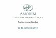 Contas consolidadas 30 de Junho de 2010 - Amorim€¦ · Destaques e principais indicadores Vendas –Aumento de 6,1%* • Crescimento totalmente suportado pela venda de produtos