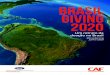 BRASIL GIVING 2020 ... BRASIL GIVING 2020 | 3 INTRODUأ‡أƒO Sobre este relatأ³rio Escrevendo em maio