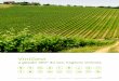 a gestão 360º do seu negócio vinícola€¦ · Reporting dos Selos IVBAM; Gestão e pagamentos aos Agentes e Transportadores. Relatório mensal para ANAM. ESPECIFICOS MADEIRA Consultores