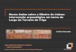 Uma aproximação à Ribeira de Lisboa através de … Terreiro do...Novos dados sobre a Ribeira de Lisboa: intervenção arqueológica em torno do Largo do Terreiro do Trigo Fotografia