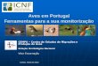 Aves em Portugal Ferramentas para a sua monitorização · Migração das aves Migração é a deslocação regular, normalmente em grupo, entre habitats realizada por uma determinada