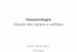 Herpetologia Estudo dos répteis e anfíbiosblog.portalpositivo.com.br/biologandocompablo/files/2016/... · 2016-06-30 · vermiforme e sem patas. É uma ordem que foge dos padrões
