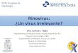 Rinovirus: ¿Un virus irrelevante?€¦ · biología molecular •Especies •HRV-A •HRV-B •HRV-C •Hasta 50% detección. 33% estudio en niños chilenos. Fields Virology, 2013,