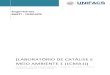 LABORATÓRIO DE CATÁLISE E MEIO AMBIENTE 1 (LCMA1)gmr.unifacs.br/lab/cadernos/Federacao/CADERNO (LCMA1).pdf · Descrição e Objetivos do Laboratório de Catálise e Meio Ambiente