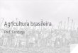 Agricultura brasileira - Energia Barreiros · Agricultura brasileira Prof. Gonzaga. A solução O Brasil apresenta um dos maiores espaços agropecuários do mundo. Segundo o Instituto
