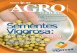 Revista Agrocultura Ed 35 · da população de inseto vetor, a cigarri-nha, e consequentemente pode propi-ciar maior ocorrência de enfezamentos. Velha conhecida nas regiões mais