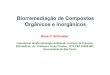 Biorremediação de Compostos Orgânicos e Inorgânicos · 2019-01-07 · René P. Schneider Laboratório de Microbiologia Ambiental, Instituto de Ciências Biomédicas, Av. Professor