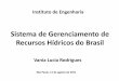 Sistema de Gerenciamento de Recursos Hídricos do Brasil€¦ · Diretrizes da Gestão Ambiental Executada por ações de controle pelo: IBAMA e Órgãos Ambientais Instrumentos: