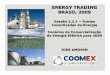 ENERGY TRADING BRASIL 2009 AMORIM.pdf · EVOLU ÇÇÇÇÃO DA OFERTA(CP) Fonte: EPE-1.000 2.000 3.000 4.000 5.000 6.000 7.000 8.000 9.000 10.000 2009 2010 2011 2012 2013 2014 2015