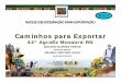 Caminhos para Exportar - Ministério da Agricultura ...mapas.agricultura.gov.br/agroeventos/uploads/20120109_164742_2… · FASE DE PESQUISA Pesquisa de mercado: Determina as perspectivas