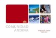 Programa de trabajo.ppt [Sólo lectura] - Andean Community€¦ · Existe un significativo avance coordinado con los parses andinos en la formulation de sus p apes nacionales para