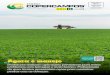 JORNAL - Copercampos · 2019-01-16 · Safra de soja 05 Ecofisiologia e manejo de soja para altos rendimentos O s produtores rurais da região de Barracão/RS, participaram no mês