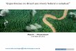 Experiências no Brasil aos níveis federal e estadual...Estados Unidos – Mercado de Carbono da Califórnia – aceitando REDD (2% das emissões ... Nacional sobre Mudaça do Clima