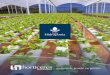 Horticeres · 2020-06-12 · Principais Produtos Linha Hidroponia A Horticeres, empresa brasileira de sementes de Hortaliças, possui uma vasta gama de produtos testados e aprovados