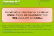 Candidatus Liberibacter asiaticus: ONCE AÑOS DE ...riacnet.net/wp-content/uploads/2017/10/3-OK-CLas...Candidatus Liberibacter asiaticus: ONCE AÑOS DE DIAGNOSTICO MOLECULAR EN CUBA