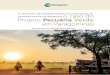 pecuária bovina na Amazônia: o caso do Projeto Pecuária ... · A Mauro Lúcio e Pércio Lima, do Sindicato Rural de Produtores Rurais de Paragominas (PA), que convidaram a equipe