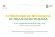 TENDENCIAS DE MERCADO & CITRICULTURA PAULISTA · 2019-05-07 · SUCO DE FRUTAS –TENDENCIAS SUCO DE FRUTAS-5/10%-5% SUCO DE FRUTAS Brasil 2018 2023 3 milhões litros Litros 12 milhões