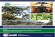 A Fundação Grupo Boticário de Proteção à Natureza é uma ... I - Diagnos · PDF file Volume I - Relatório Final: Diagnóstico das Cadeias Produtivas do Pinhão e da Erva-Mate