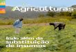 Indo além da substituição de insumosaspta.org.br/files/2011/05/Agriculturas_v4n1.pdf2 Agriculturas - v. 4 - n o 1 - março de 2007 v. 4, nº 1 (corresponde ao v. 22, nº 4 da Revista