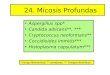 24. Micosis Profundas - 24. Micosis Profundas â€¢ Aspergillus spp* â€¢ Candida albicans**, *** â€¢ Cryptococcus