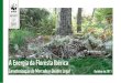A Energia da Floresta Ibérica€¦ · 2 m 3 m 3 x Mi-7 414 e cimento instrecu-. x s de pellets de pellets de s mente. o-la -a S érica ... NOTAS FINAIS: Prob| Finais Referências