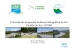 O Comitê de Integração da Bacia Hidrográfica do Rio ... · Comitê de Bacia: o que faz? Colegiado que tem poder de decisão (essa é a diferença) Todos os membros possuem o mesmo